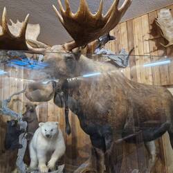 ....diese Grösse 😱....