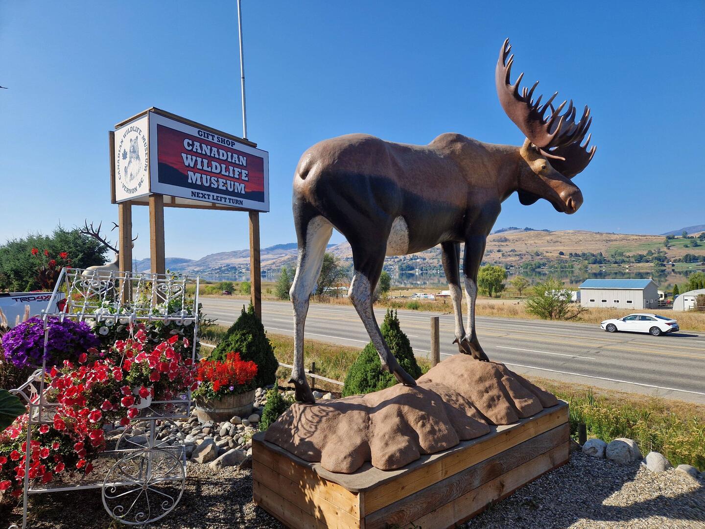 ...Canadian Wildlife Museum in Vernon...