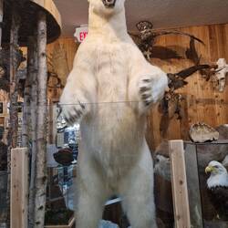 ....wie echt 😳...