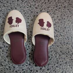 There are slip on shoes for everything including the toilet!