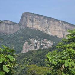 Favela