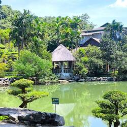 eine Brücke führt zum vietnamesischen Garten