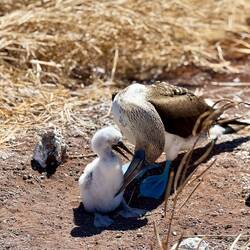 So ein Zwerg muss halt auch sauber gehalten werden