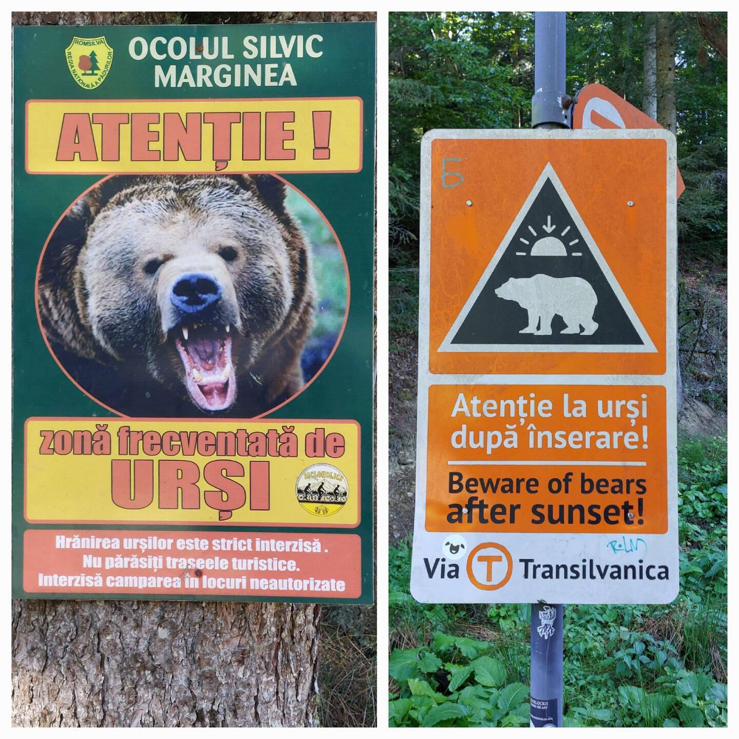 Sucevita to Putna hike, part of Via Transilvanica; Warning signs en route