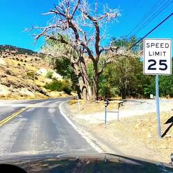 Die Strasse nach Virginia City