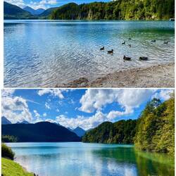 Alpsee