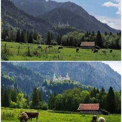 Schloss Neuschwanstein aus der Ferne