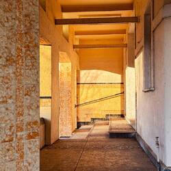 Golden light at the abandoned guest house (Scooby Doo time!)