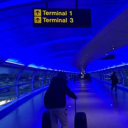 First trudge of the day in an eerie blue light!