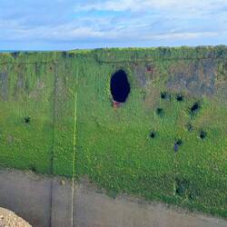 Die Einschusslöcher sieht man deutlich