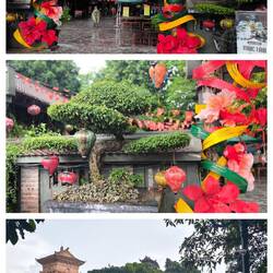 die "Walking Street"