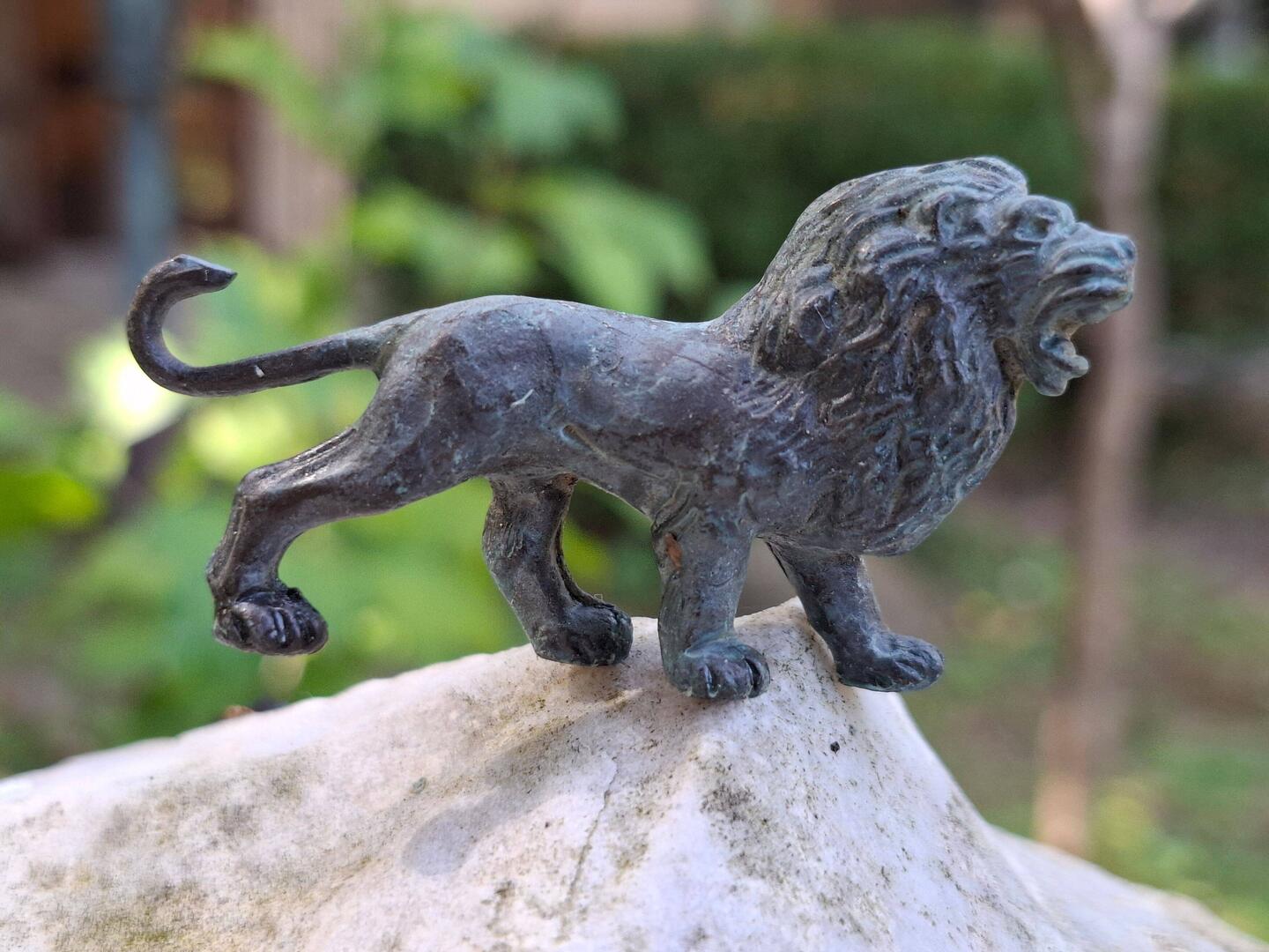 Nur wenige Zentimeter groß, aber großspurig das Bein heben... 😂