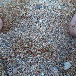 No sand just pebbles on the beach. Free foot scrub
