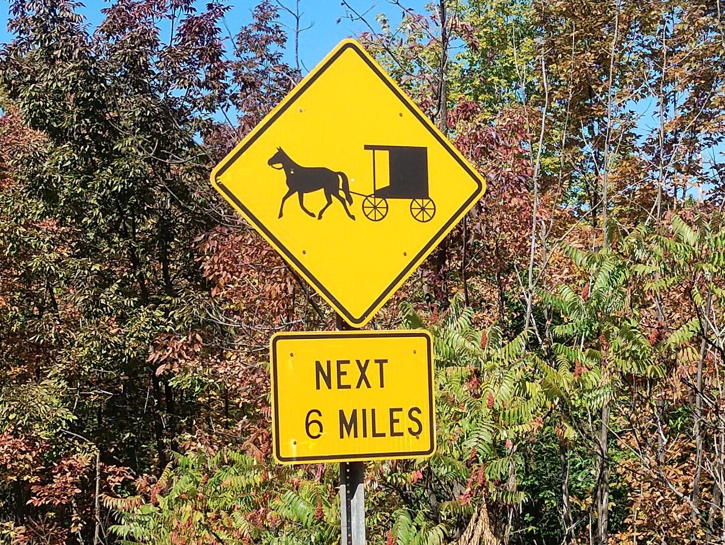 Immer wieder trifft man auf Amish, die auch hier verstreut leben