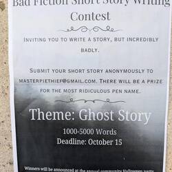As bad as my travel blogs are, I could probably win this!