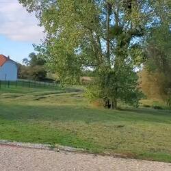 Enfin une vidéo des Popols