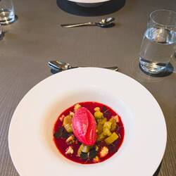 Rhabarber-Himbeer-Sorbet