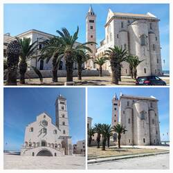 Trani