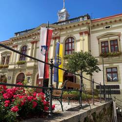 Rathaus in Weitra
