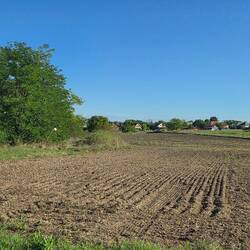 Nog steeds vlak landschap.