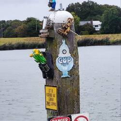 Hier beginnt der finnische Wanderweg. 😎