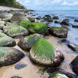 Steine mit tollen Frisuren 🤣