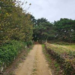 Auf 1,5 km² Feld und Wald