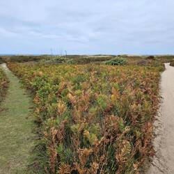 Rechts: zur Nordspitze / Links: zum Shell Beach