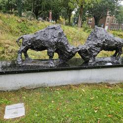 Wer hat den dickeren Dickschädel?