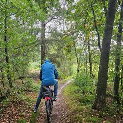 Der Weg zurück durch den Wald