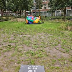 Genießt er den Regen?