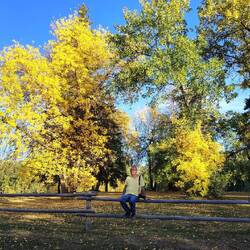 Indian Summer - tolle Laubfärbung