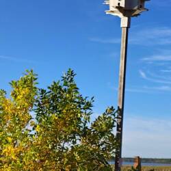 Vogelhaus - Etagenwohnung,😉
