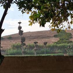 Die Störche sind schon da.