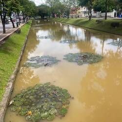 Old city is surrounded by a moat