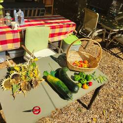 Aus dem Garten von dem Airbnb