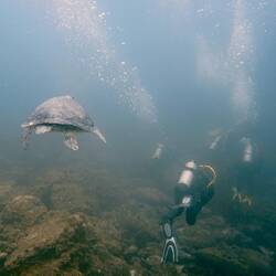 Das neuste Mitglied von Team Dolphin 😁