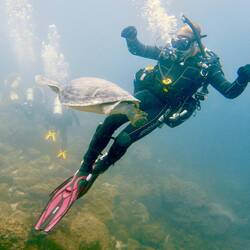 Chris und die Schildkröte 😁