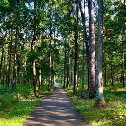 Das nenn ich mal einen schönen Fahrradweg