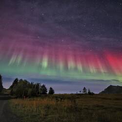 Vor Lilas Grundstück ging es erst richtig los