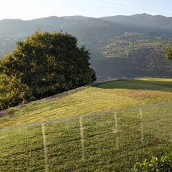 Blick von unserer Terrasse