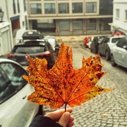 Ich liebe Herbst