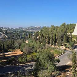 A view from the holocaust museum