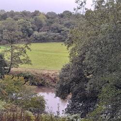 Greenscomb Woods view