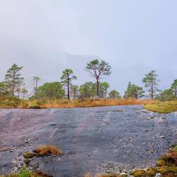 Das wechselse Licht ist der Hammer