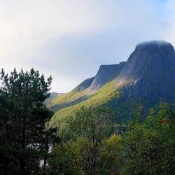 Norwegen und seine Fjorde😍