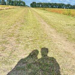 Schattenspiel und Suchbild 😊