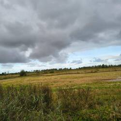 Weite , ferner Horizont