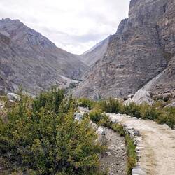 Der Weg wird professionell!