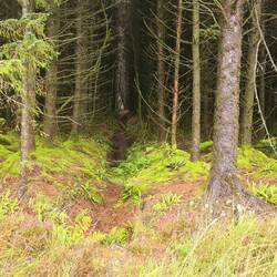 burston moor / welsford moor